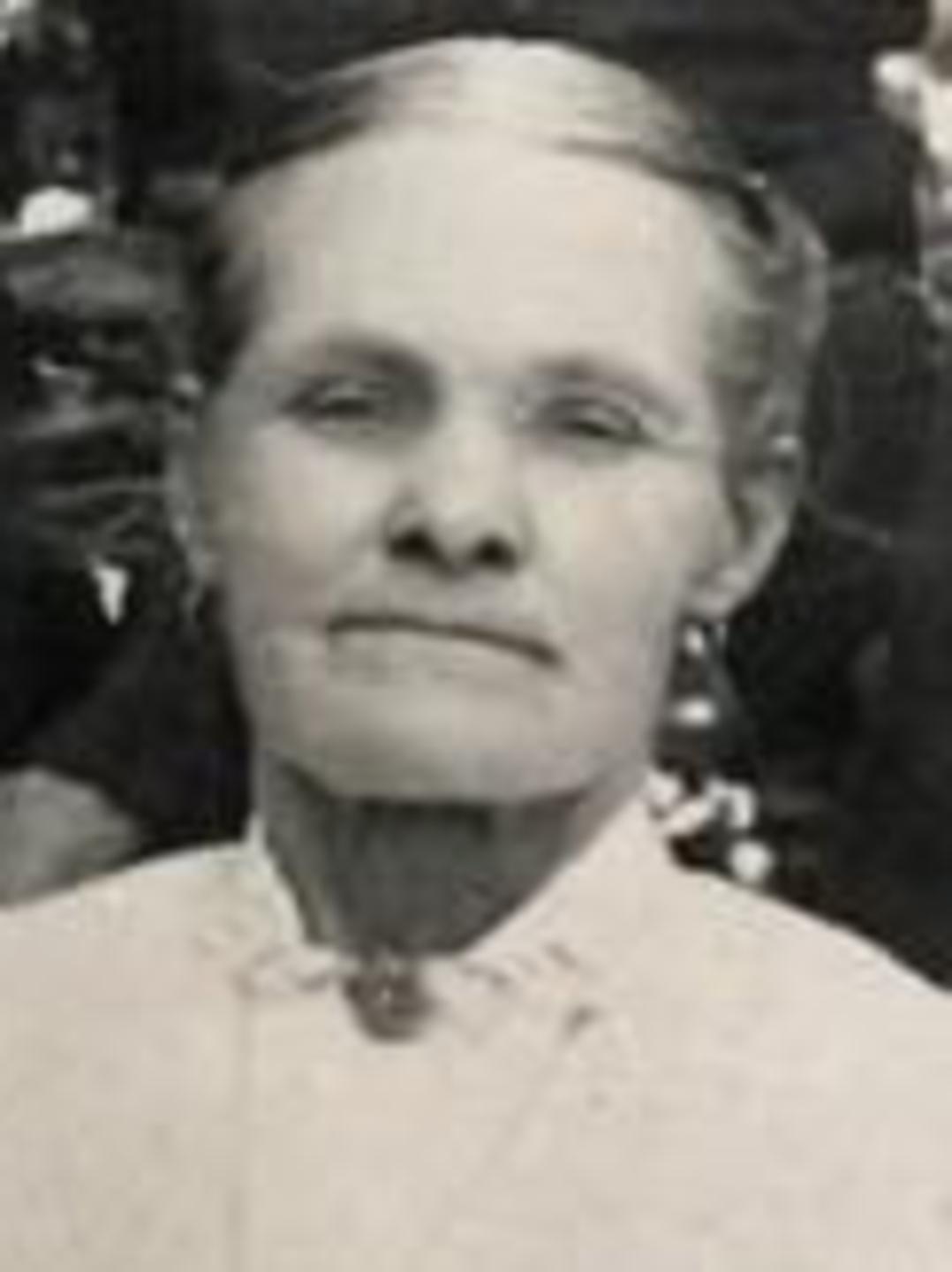 Jerusha Lois Shoemaker (1840 - 1915) Profile